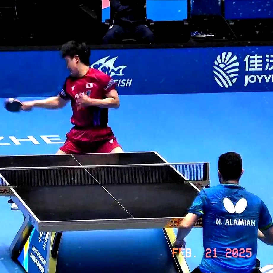 开云体育APP下载-关于波兰乒乓球队险胜英国乒乓球队，张本智和制霸全场的信息