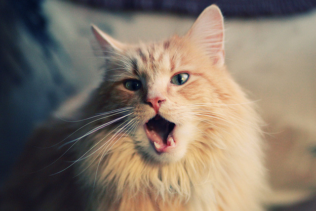 压制与接管的双重奏,赛场上的主宰瞬间