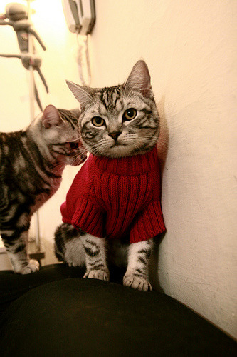 开云体育APP下载-广厦铁壁锁天山，一场定义争冠格局的团队胜利