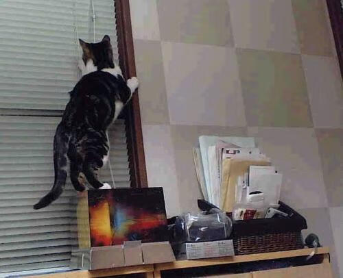 英超争冠焦点战如火箭单节爆发,瞬间拉开差距的体育艺术