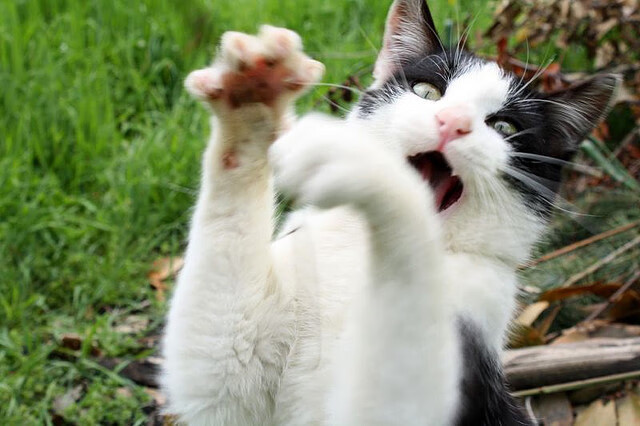 欧冠淘汰赛之夜,英格拉姆的自我救赎传奇