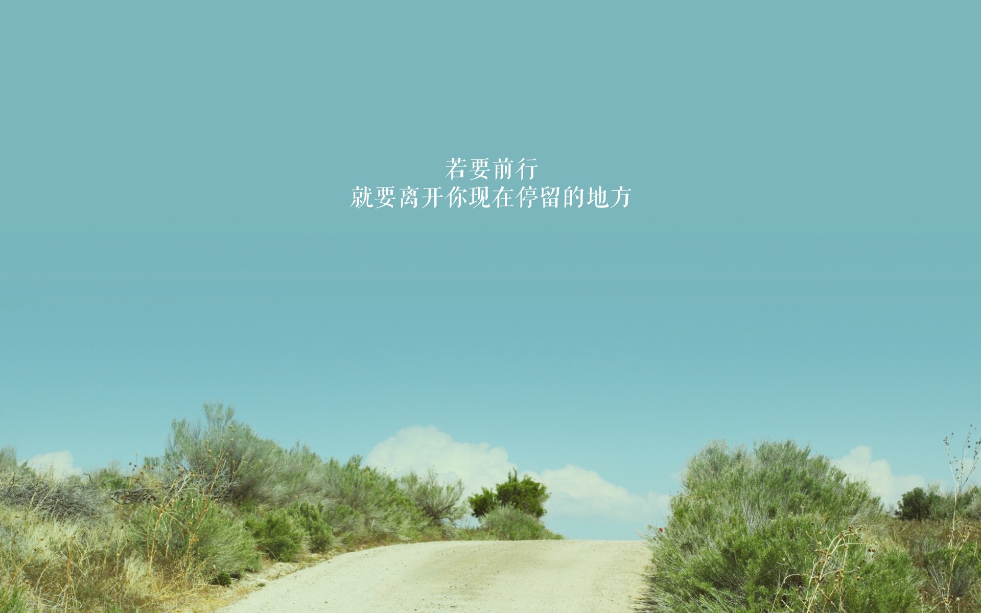 同步疯狂，当凯尔特人碾压与武切维奇接管构成宇宙交响曲