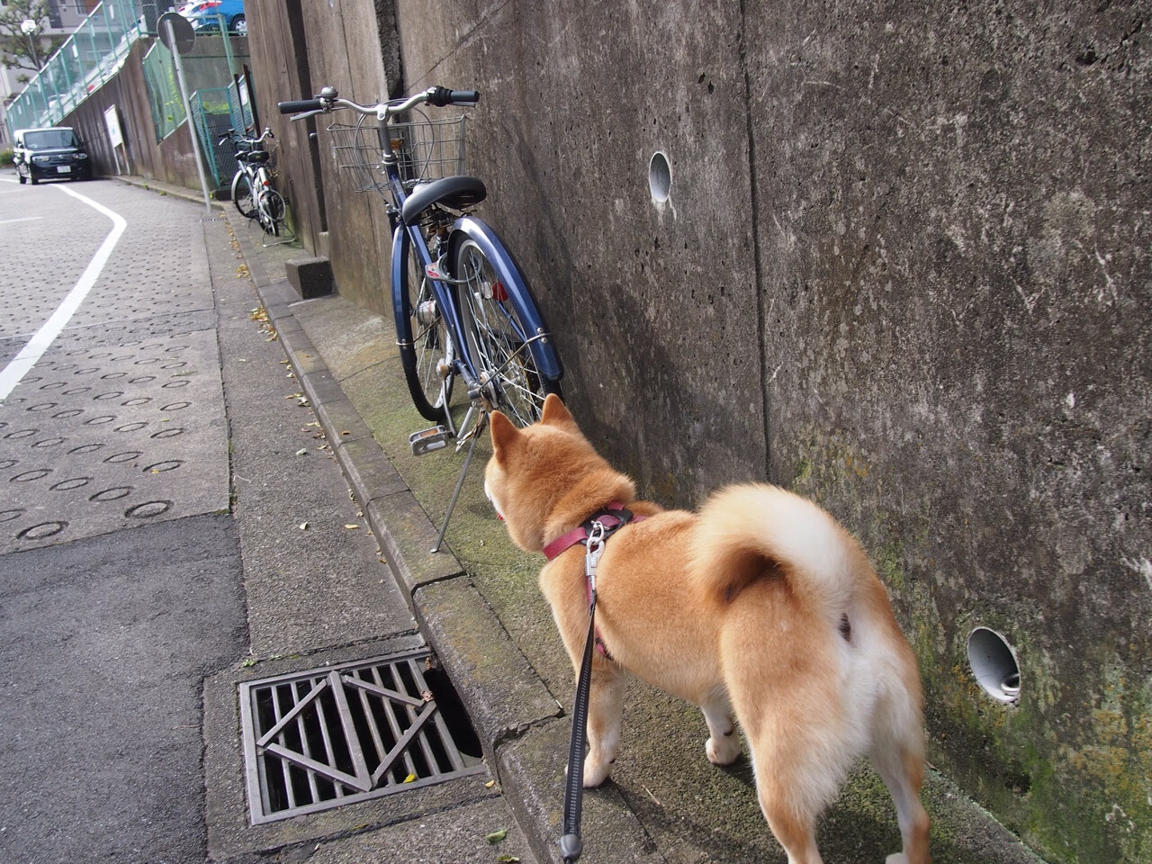 开云体育APP下载-冷热之间