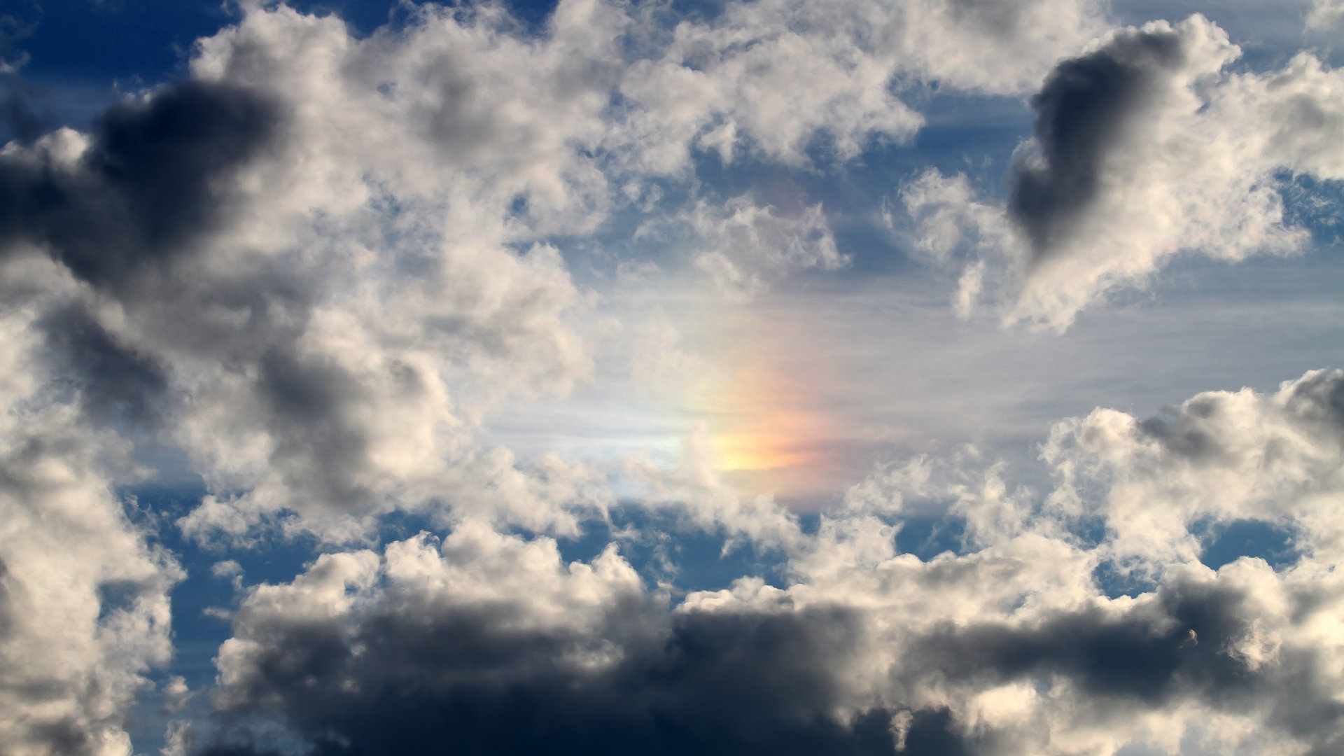 开云体育平台APP-唯一性胜利，约基奇关键先生本色出演，助广厦队稳稳拿下浙江队