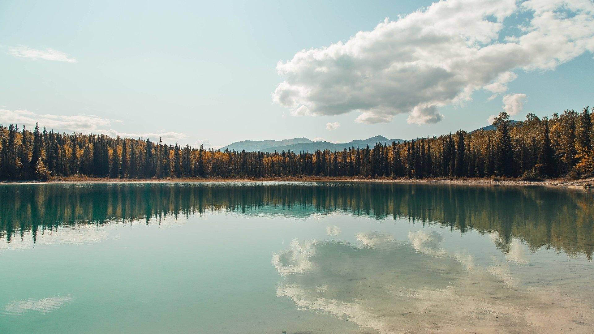 当戈贝尔奏响交响乐,一个蓝领巨人的生涯之夜如何重塑比赛