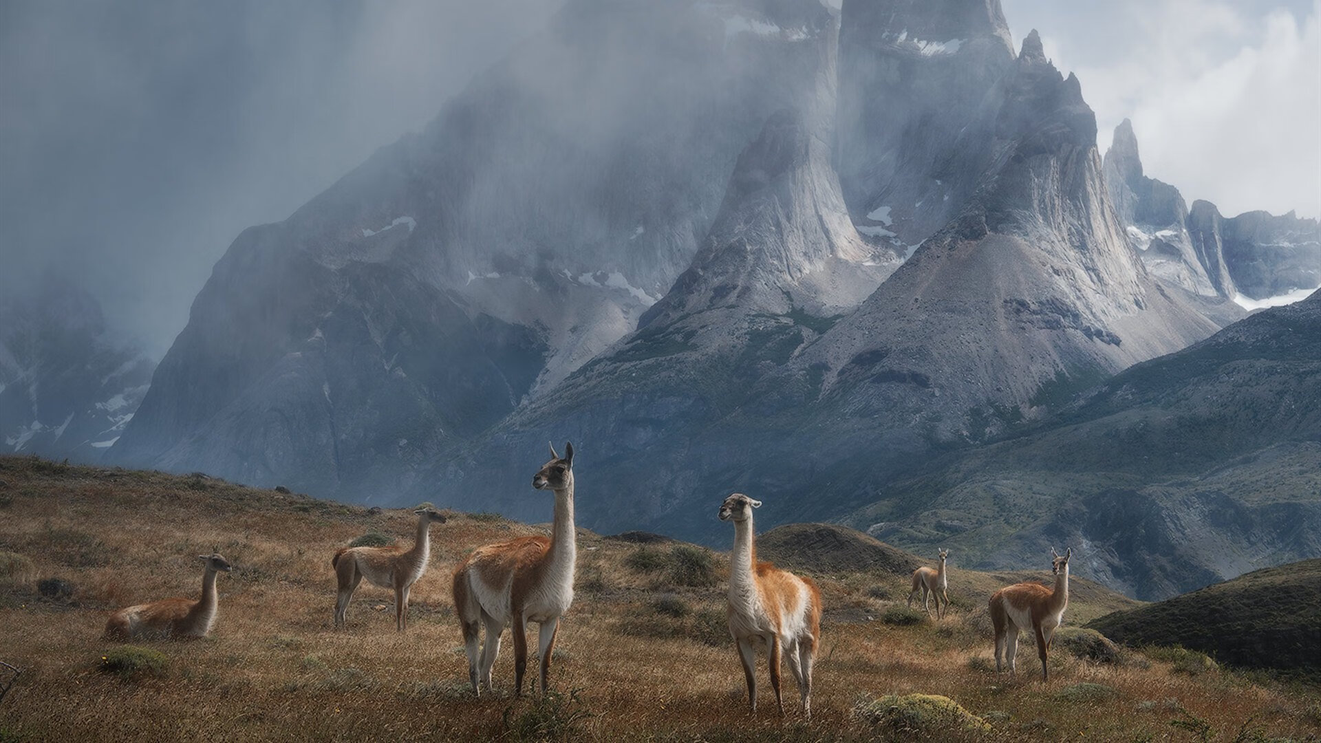 惊天冷门背后,小贾伦的北京一夜与跨越文化的篮球艺术