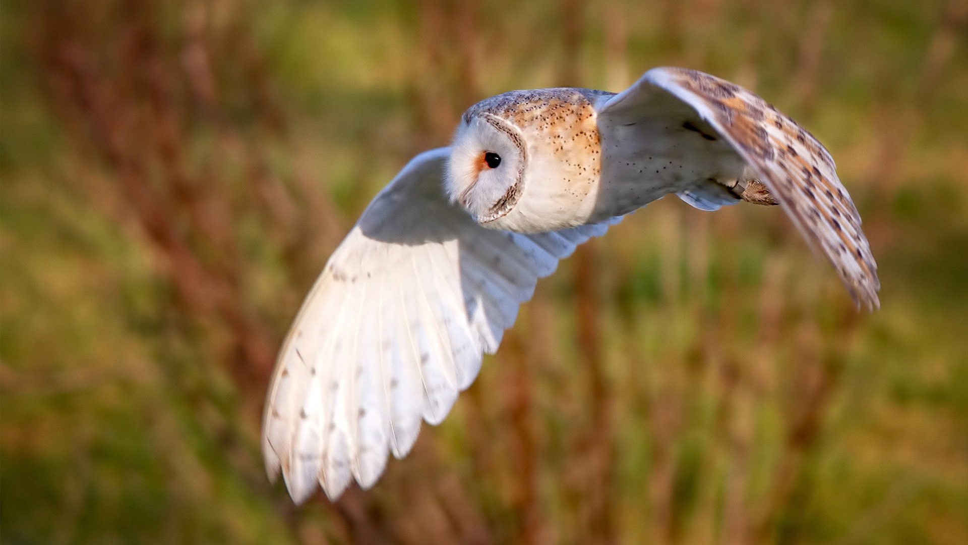 开云体育在线-历史缝隙间，霍勒迪的两次唯一决胜时刻