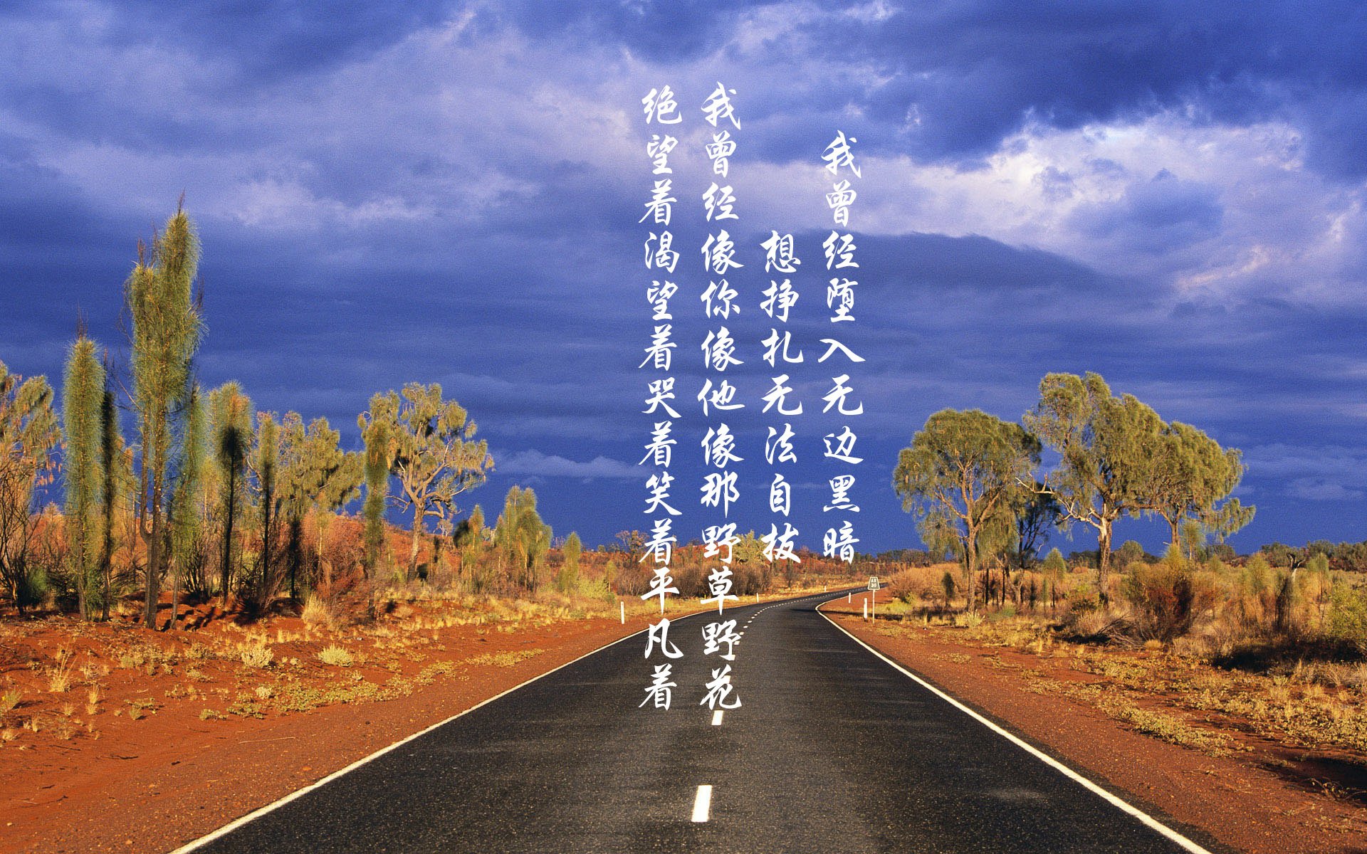 蓝月风暴席卷A组,福登闪耀引领罗马尼亚完胜摩洛哥,控球艺术成唯一王道